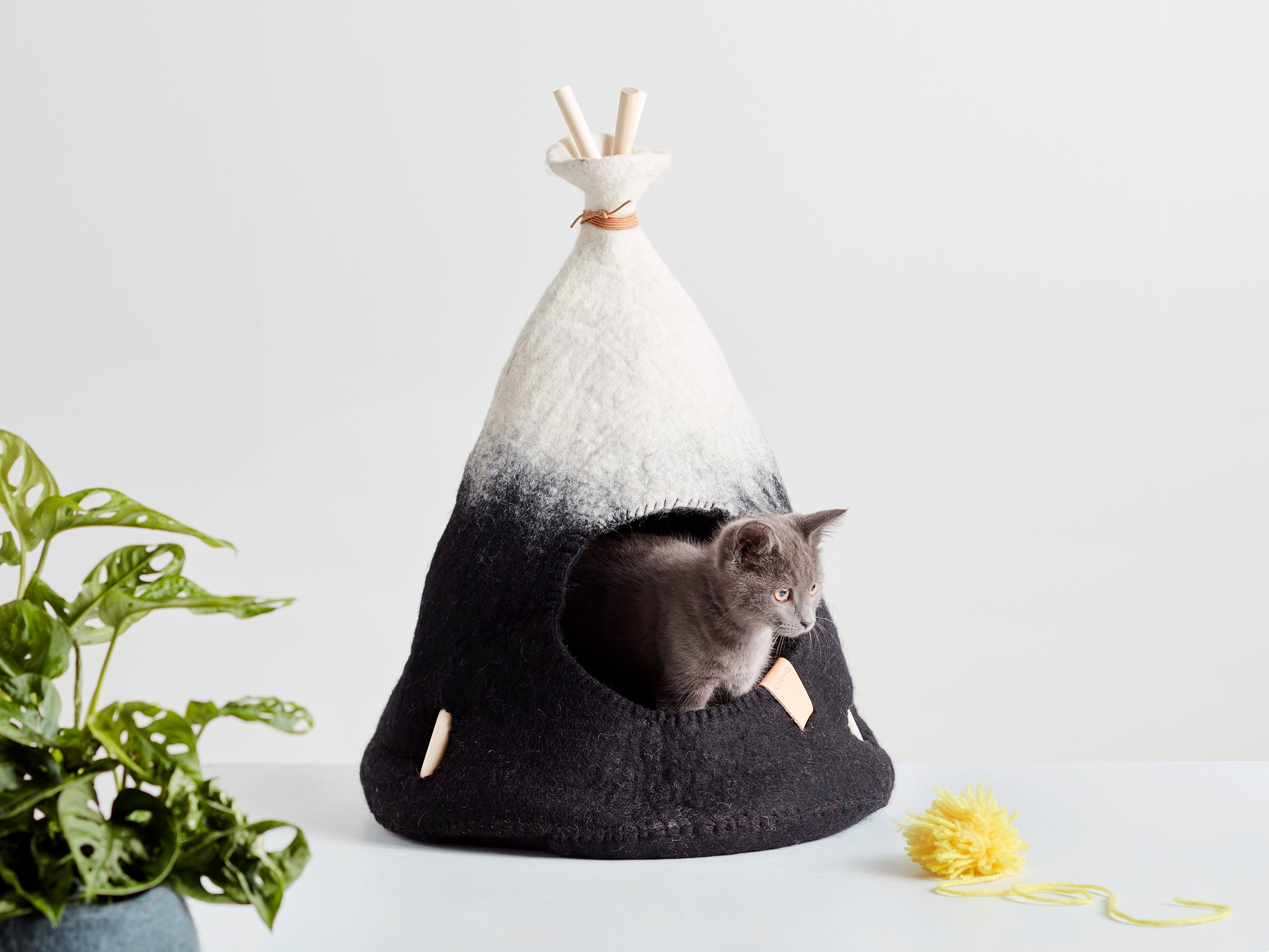 aveva TIPI for Pets